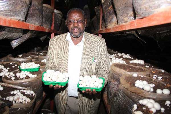 How Uasin Gishu farmer makes Sh. 100,000 ($1,000) daily