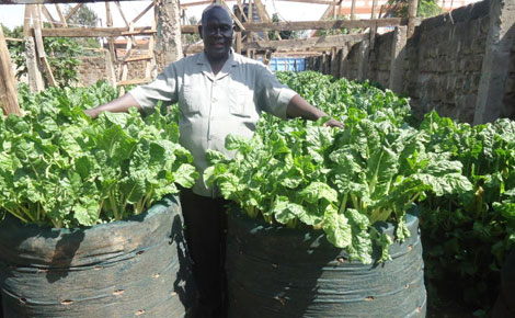 I make Sh. 100,000 per month from spinach farming