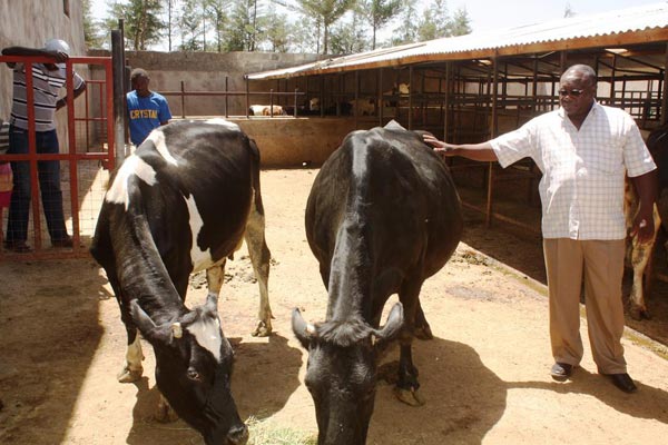 From 2 cows to Sh. 1 million dairy business