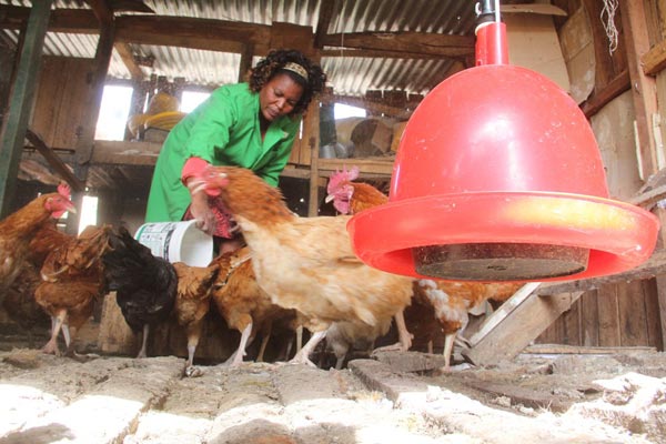 Poultry farming in Kenya – How Leah makes Ksh. 120,000 per month