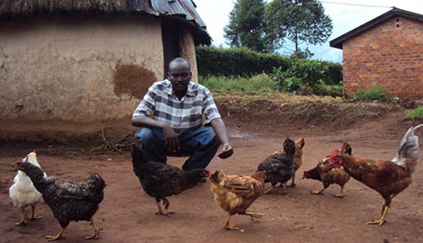 Hatching eggs gives me Sh. 50,000 per month