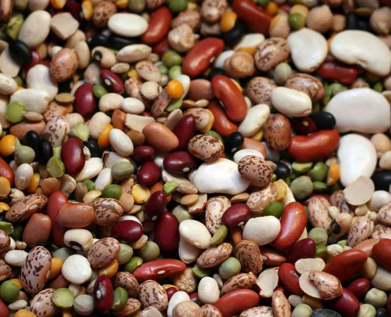 New bean types that can tolerate heat