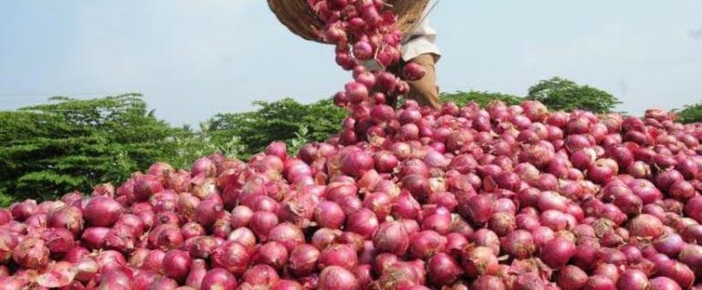 Mary Githinji: How I made Sh. 1.5 million from my first bulb onions harvest