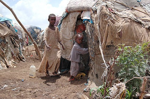 refugees somali