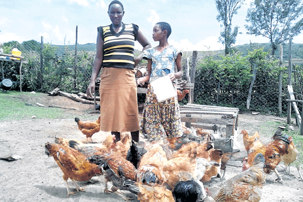 Lillian Cherono: My Kenbro, Dorep and Cross-breed chicken bring more profits than maize