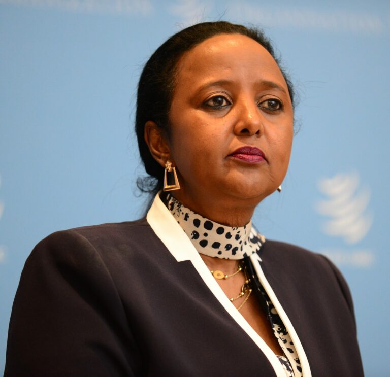 Kenya mini exhibition attracts interest in Geneva