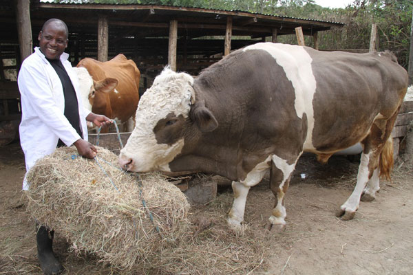 Gerald Besseling: I saw a gap in local cow breeds, now I’m making my millions