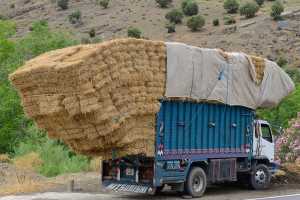 Overloaded Vehicles