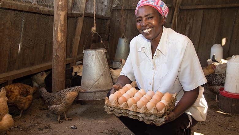 business plan for chicken rearing