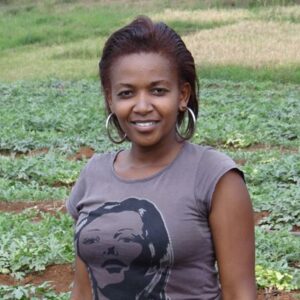 Watermelon farming in Kenya 1