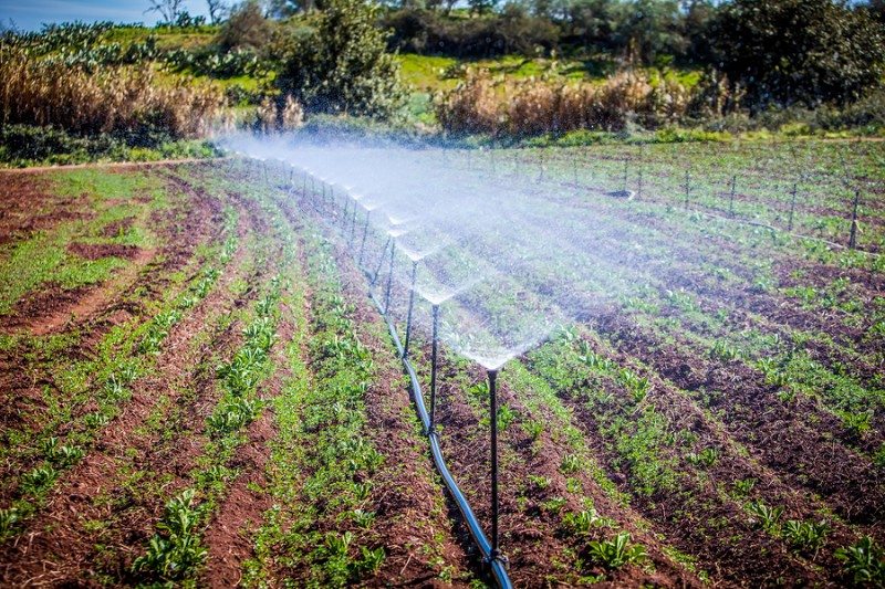 Kenya borrows Sh. 4.3 billion from African bank to finance irrigation