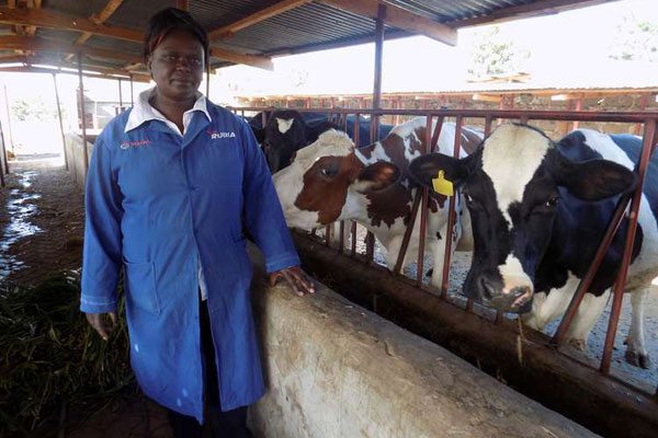 My journey from a mitumba seller to a top dairy farmer