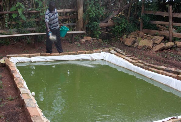 https://biznakenya.com/wp-content/uploads/2015/12/Fish-Farming-Uganda.jpg