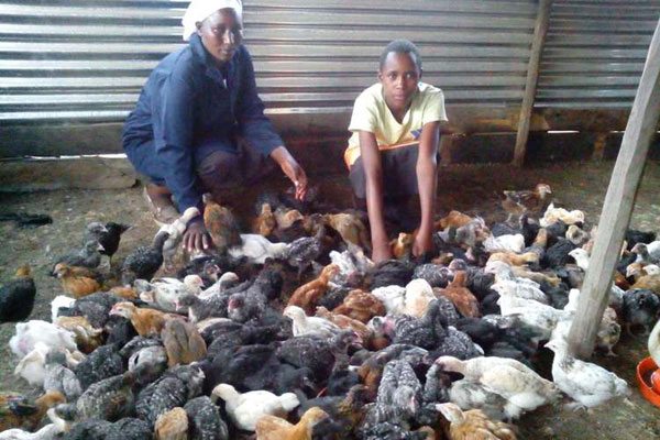 Lilian Kimutai: What I did to succeed in kuroiler chicken farming