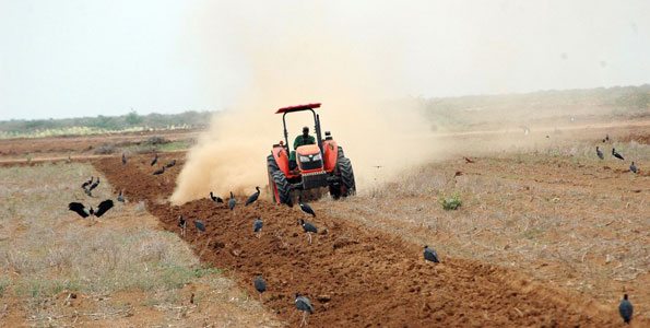 Galana irrigation budget slashed by half