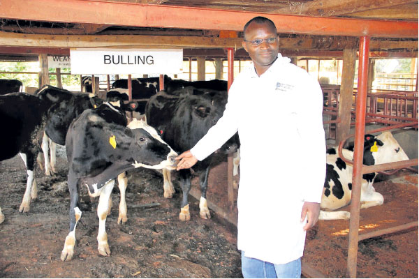 Paul Ruto: How I built my wealth with 60 dairy cows, 100 goats