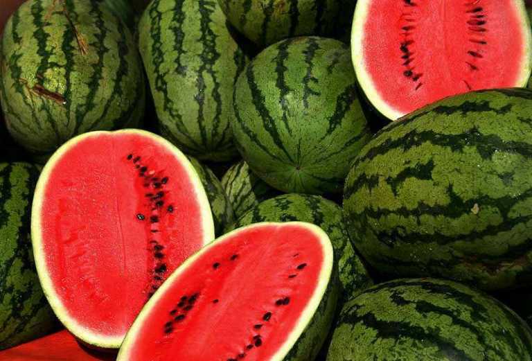 Health benefits of watermelon - Bizna