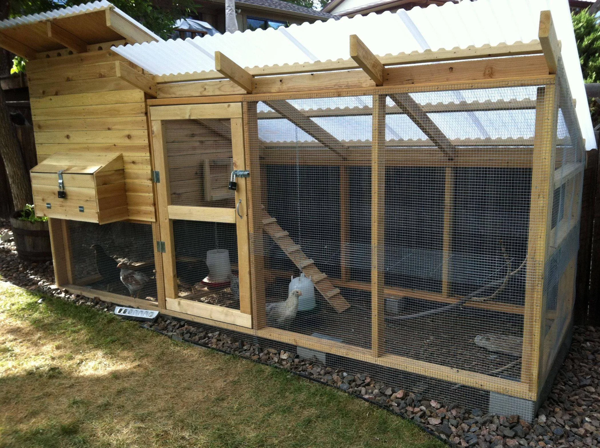 A to Z of setting up proper kienyeji chicken housing structure at your backyard