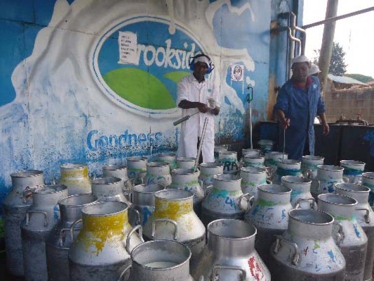 30,000 Bungoma, Trans Nzoia dairy farmers to benefit from Brookside milk production boost