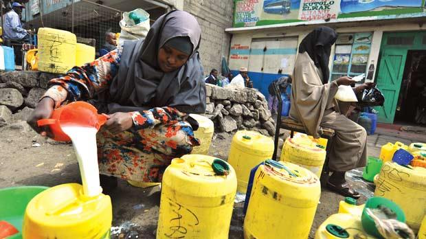 How women in Isiolo are making profit in camel milk business