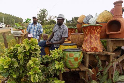 How form four leaver made his first million from tree seedlings