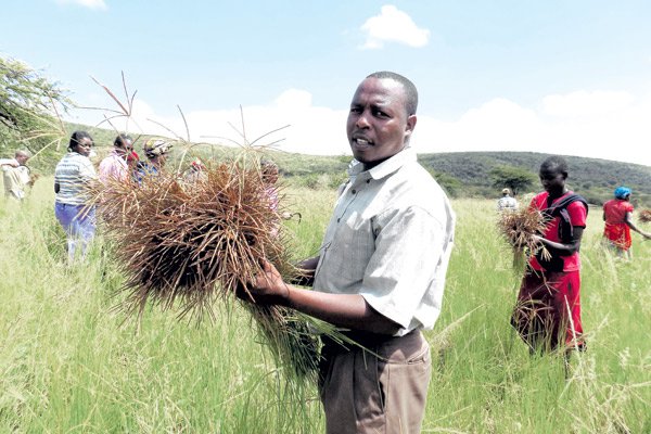 From Sh. 500,000 loss, my farm is now worth Sh. 25 million