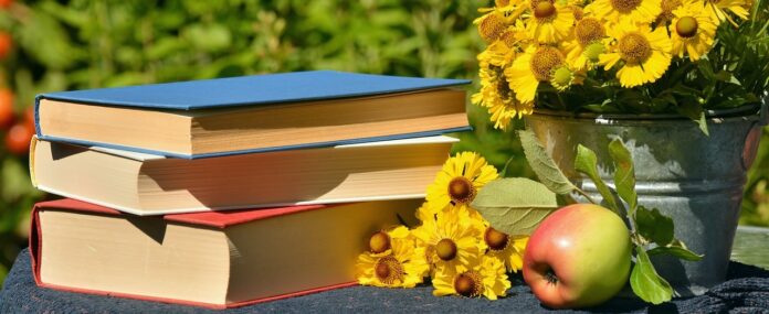 5 business books you need to read during the holidays - Bizna