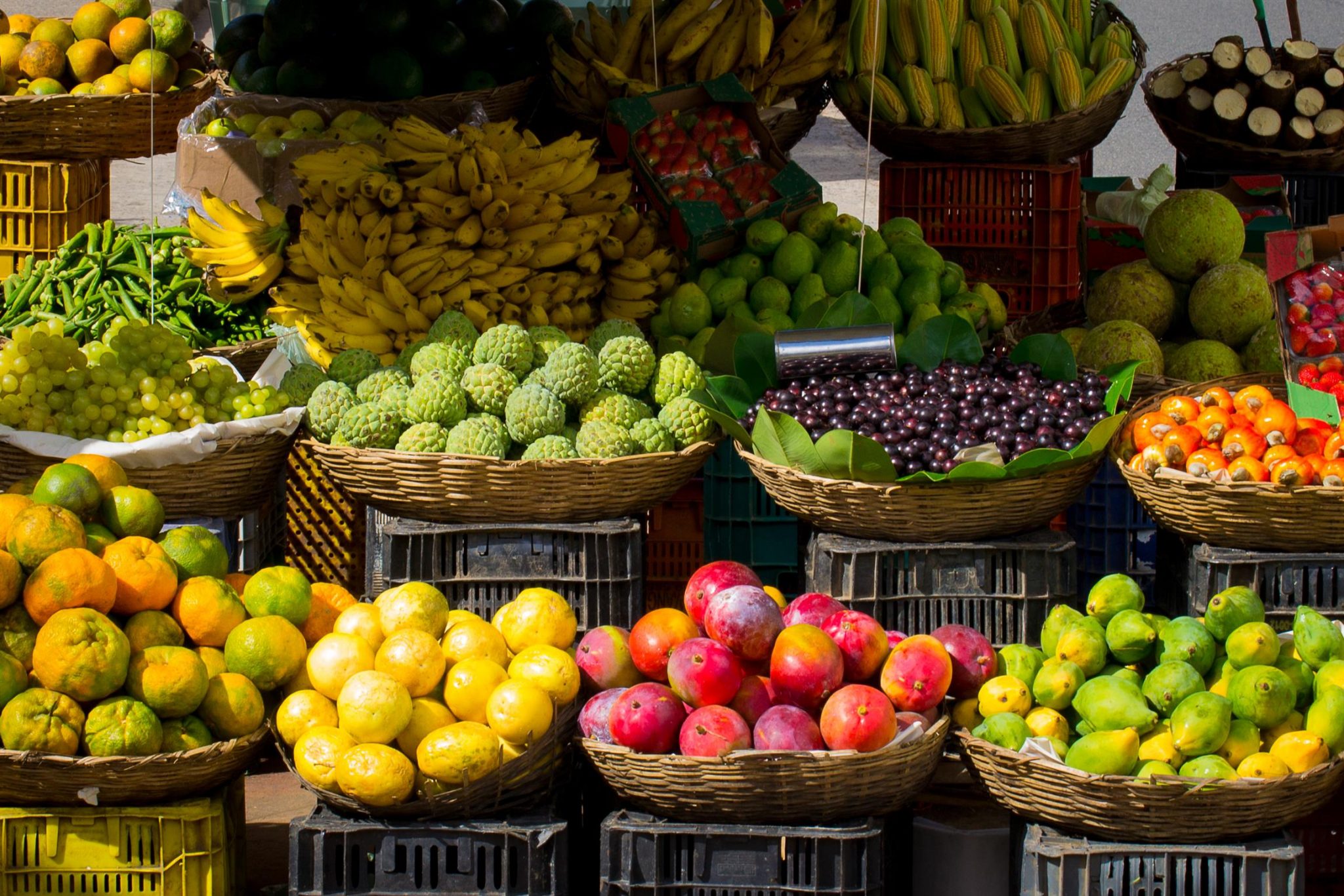 fruit vending business plan in kenya