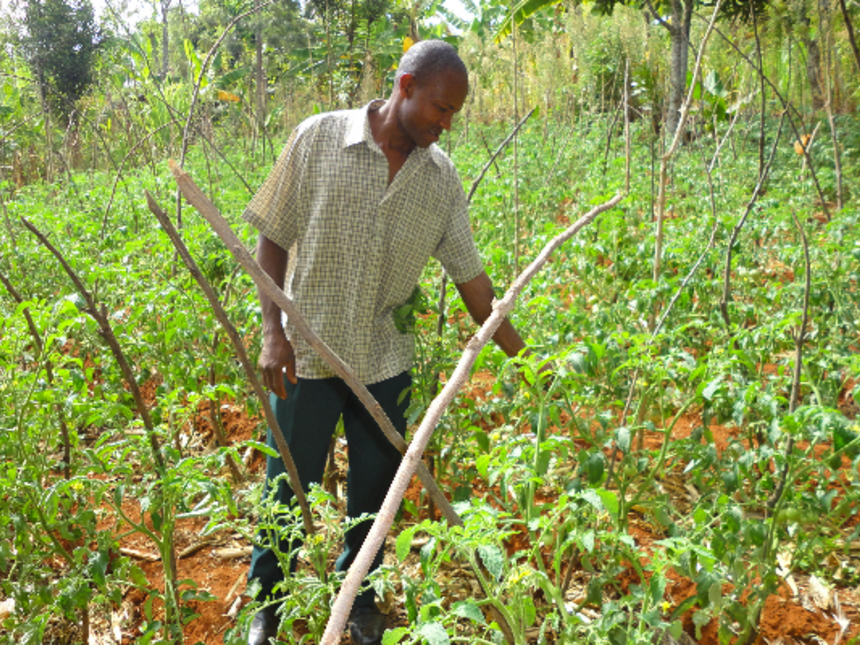 I dropped out in class 8, but I make Sh. 80,000 monthly from farming