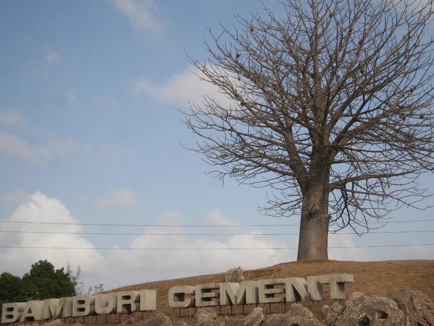 Bamburi Cement reports flat profit growth, to pay Sh. 12 dividend