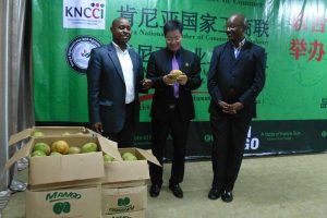 Mango farmers to export to China easily following KNCCI deal