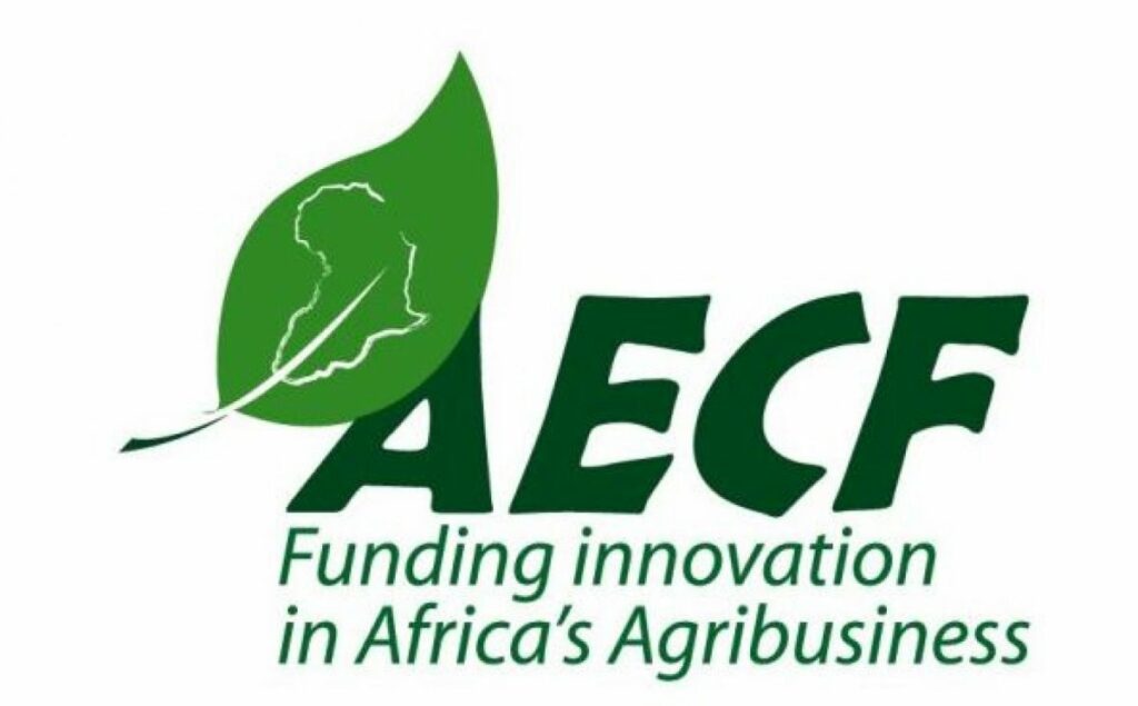 AEFC Household Solar Competition Launch Release