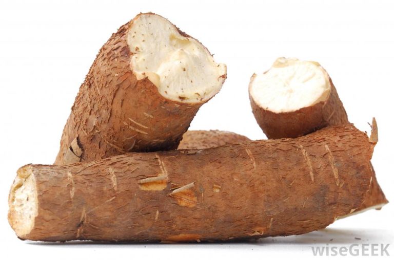 Tanzania to export Cassava to China