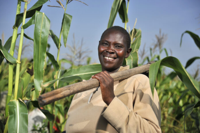 farmer