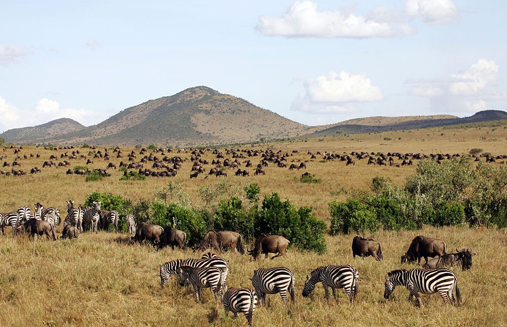Top 10 best places to go for a vacation in Kenya