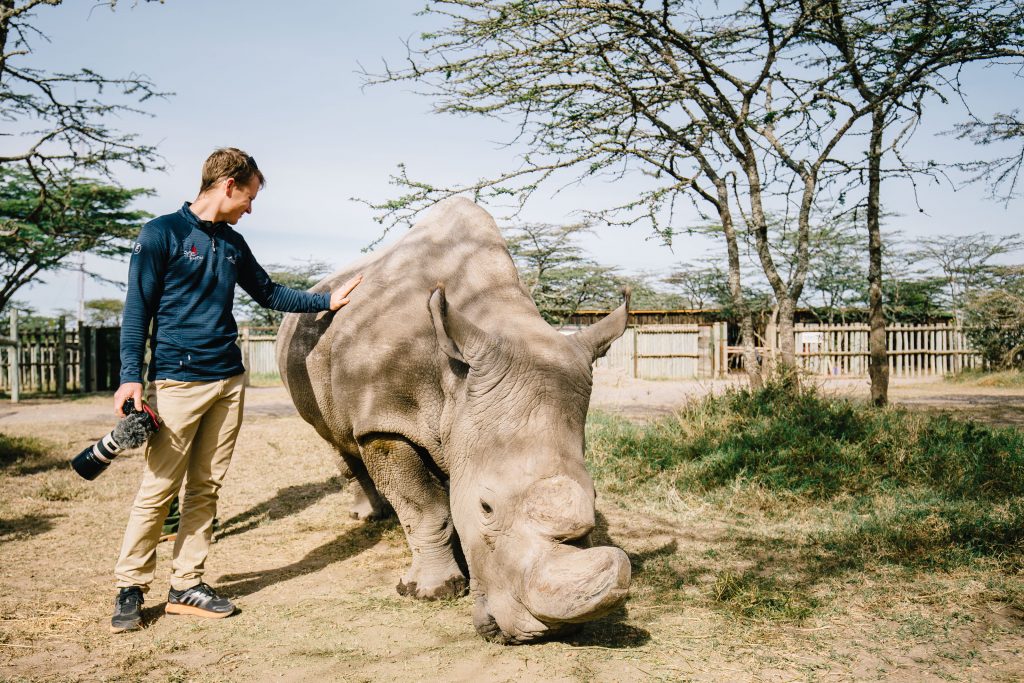 African Property Group Mara Delta Takes Vital Steps in Rhino Conservation