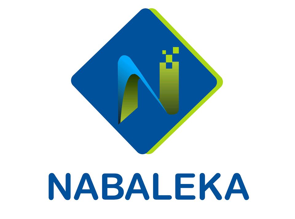 Nabaleka Digital Solutions: Building the Digital Capacity of SMEs in Kenya