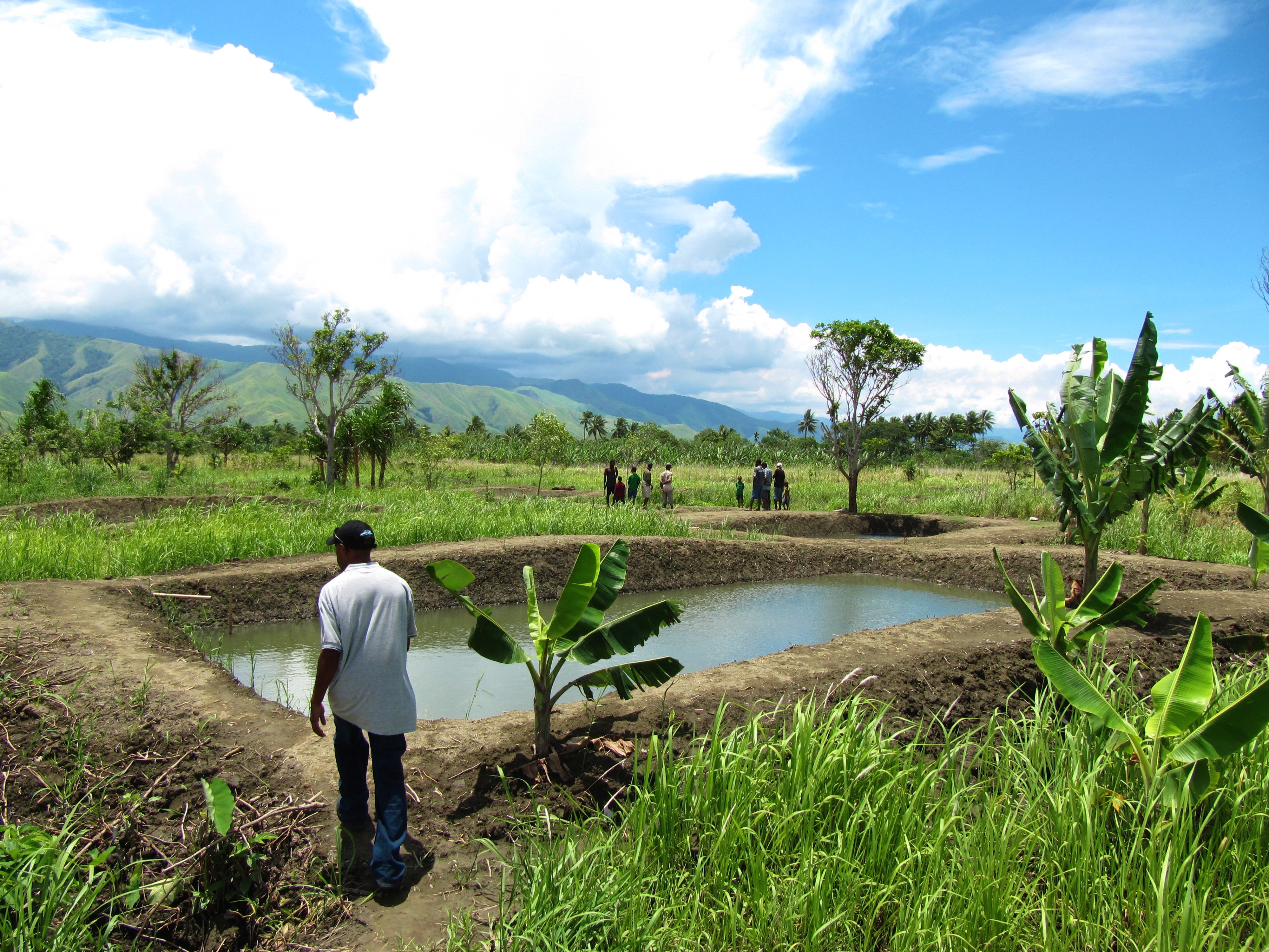 fish farming business plan in kenya