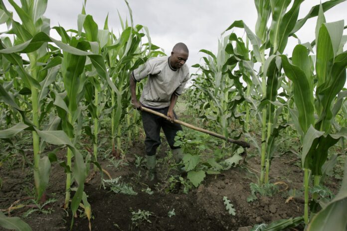 farmer