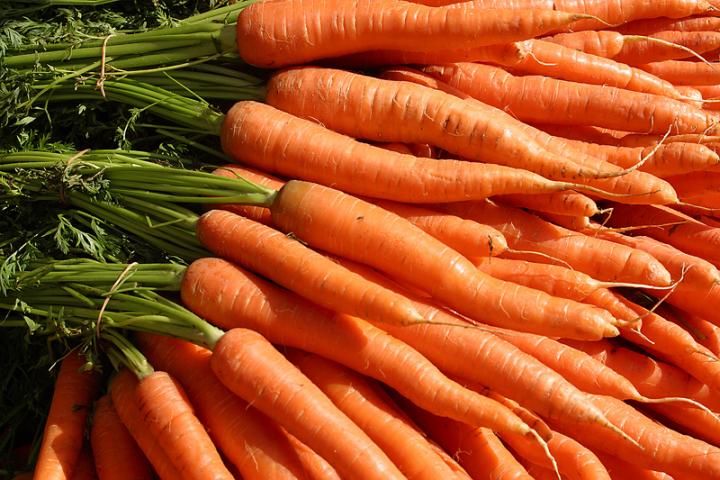How to grow carrots in your small farm.