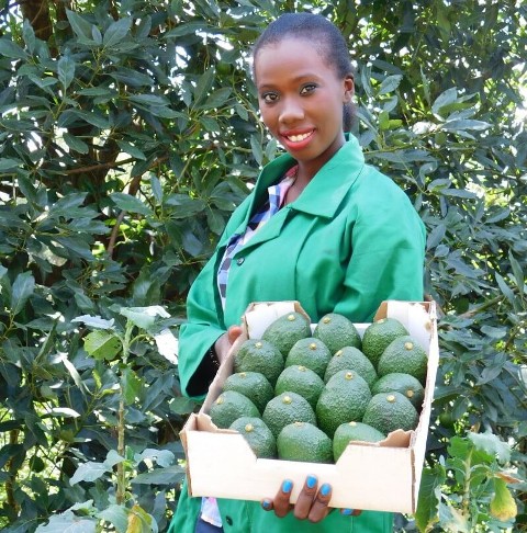 WeFarm Partners With Heifer International To Reach More Kenyan Farmers.