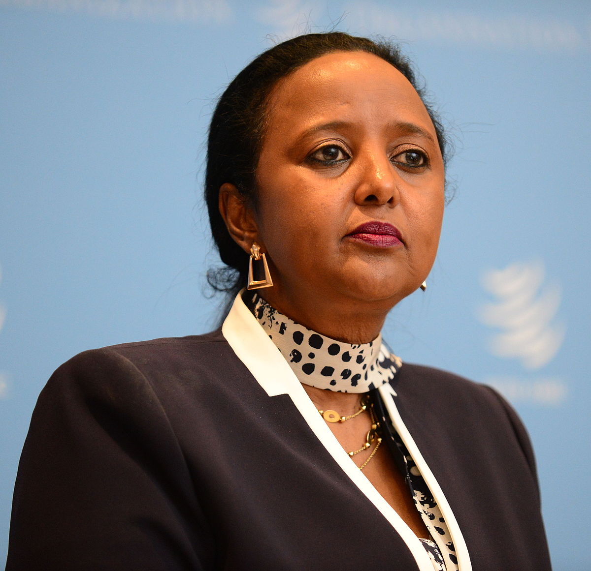 Amb. Amina Mohamed, Foreign Affairs Minister