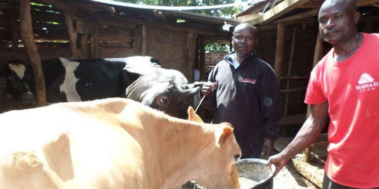 Meet ex-teacher earning Sh. 360,000 monthly from farming