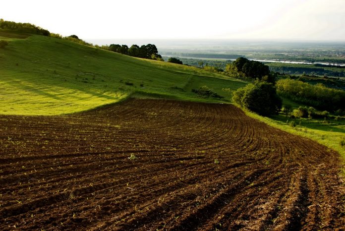 Land