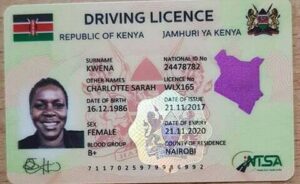 Photos of new digital driving licences with driver's details