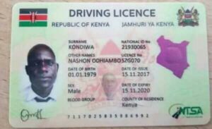 Photos of new digital driving licences with driver's details