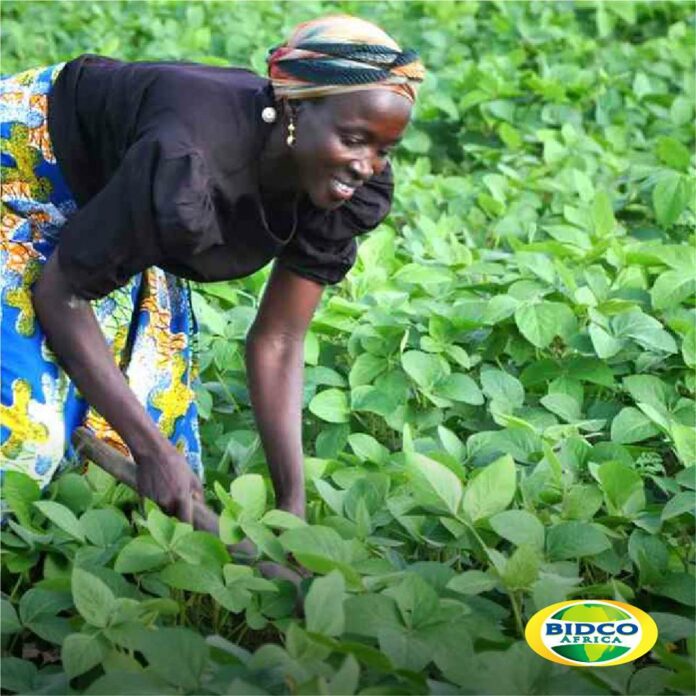 12072731_955400747836658_1139663846871795743_n