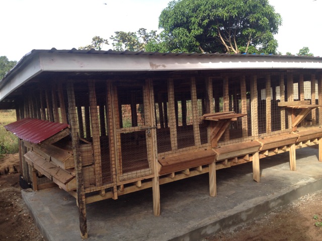 Chicken house design in kenya