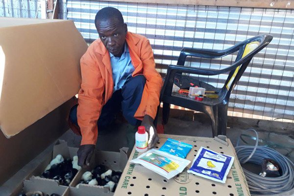 How a Poultry Farmer Embarked Back On A Fresh Start After A Tragedy