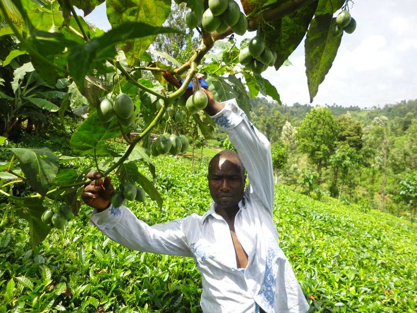 How Suleiman Njeru Is Making A Fortune From Farming